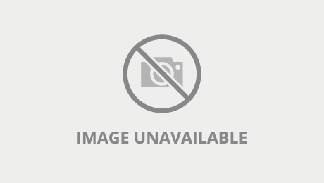 Trans Tonlew Strokes Her Hard Cock